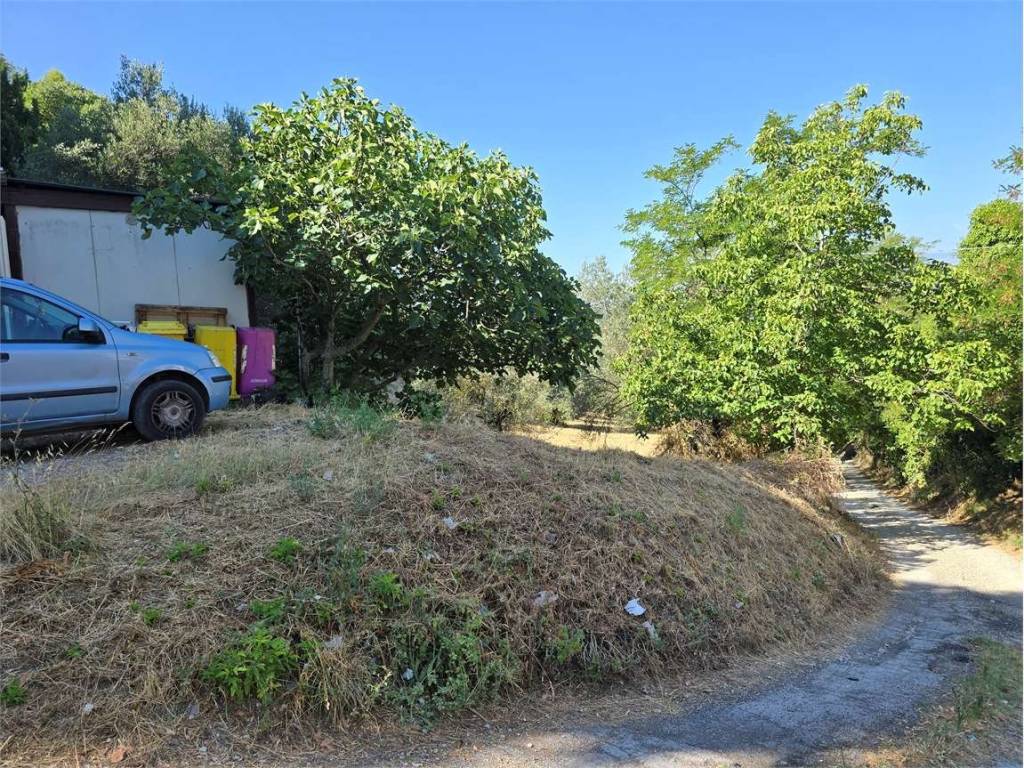 Terreno a Spoltore - Foto 2