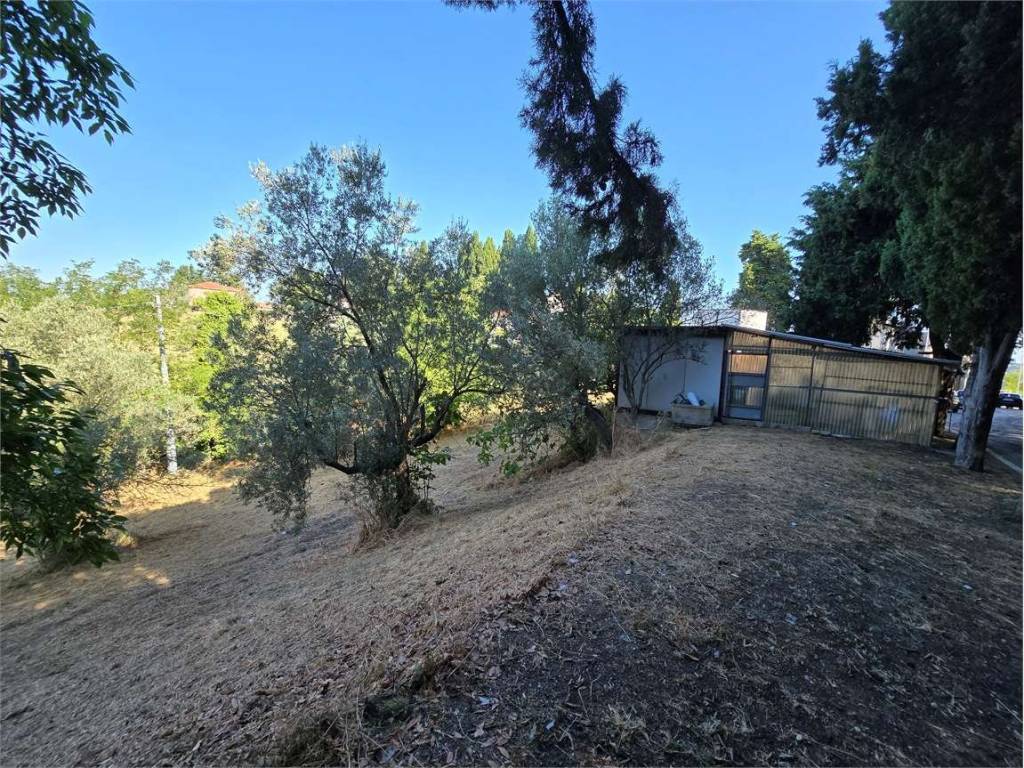 Terreno a Spoltore - Foto 3