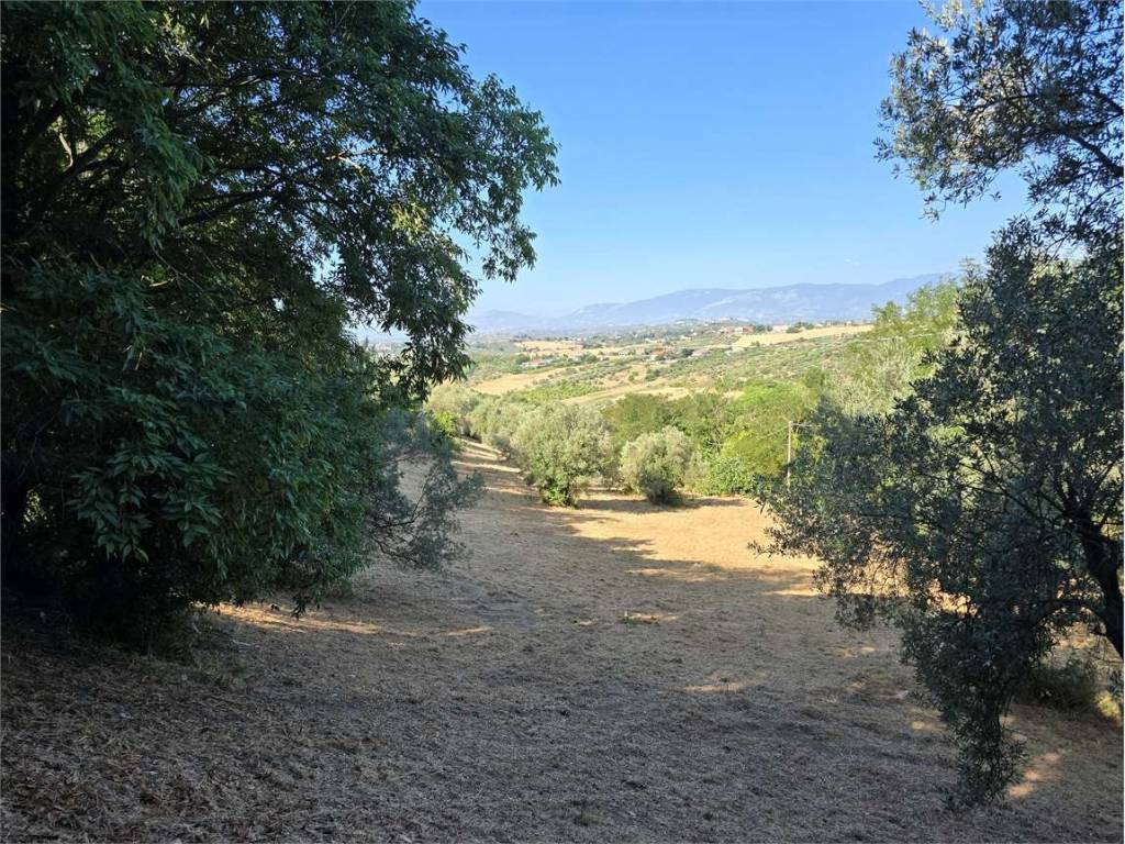 Terreno a Spoltore - Foto 4
