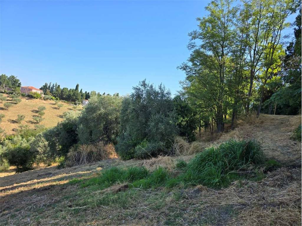 Terreno a Spoltore - Foto 5