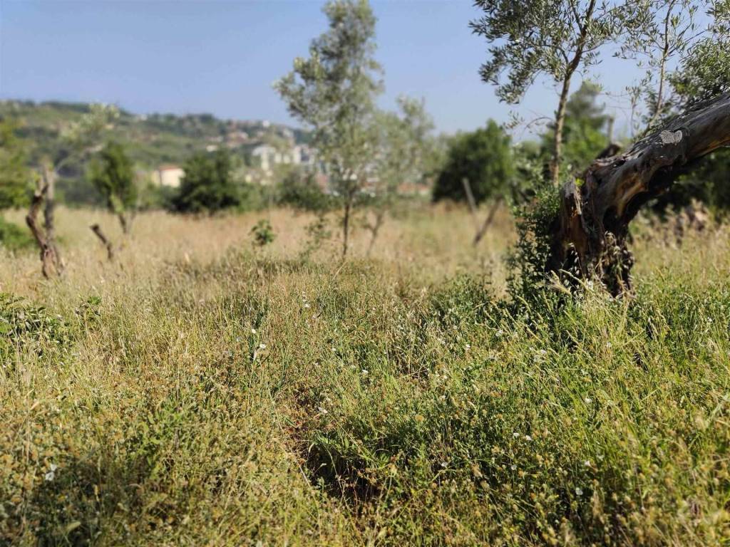 Terreno a Cosenza in Contrada Tenimento - Foto 2