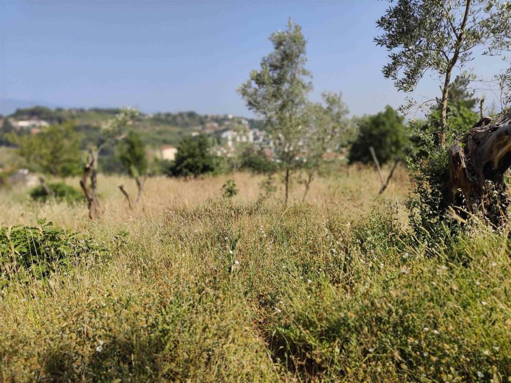Terreno a Cosenza in Contrada Tenimento - Foto 3