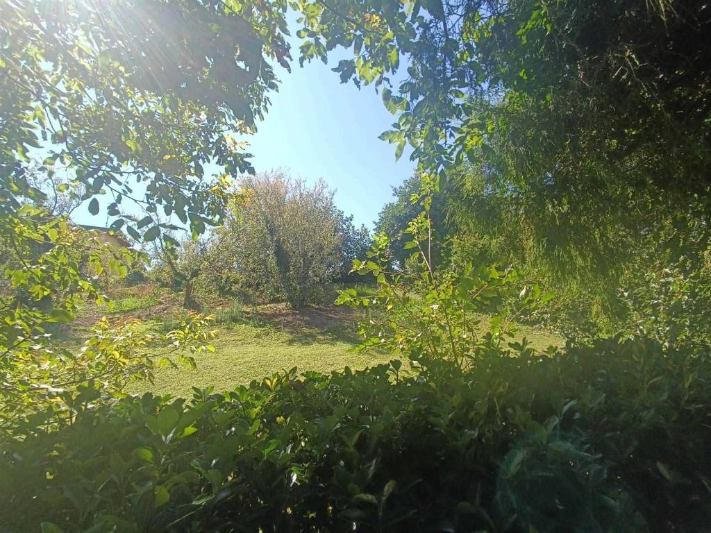 Terreno a Cossato in Via Arale - Foto 2