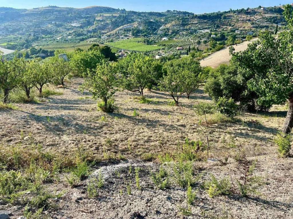 Terreno a Caltanissetta - Foto 4