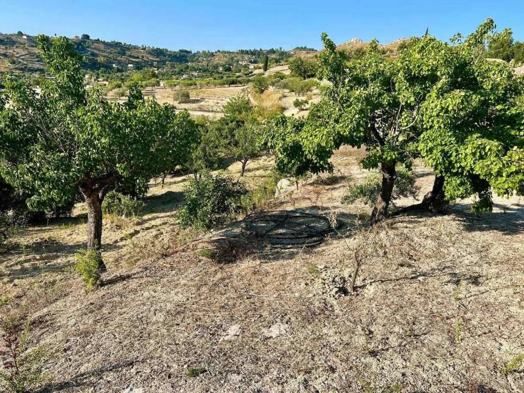 Terreno a Caltanissetta - Foto 5