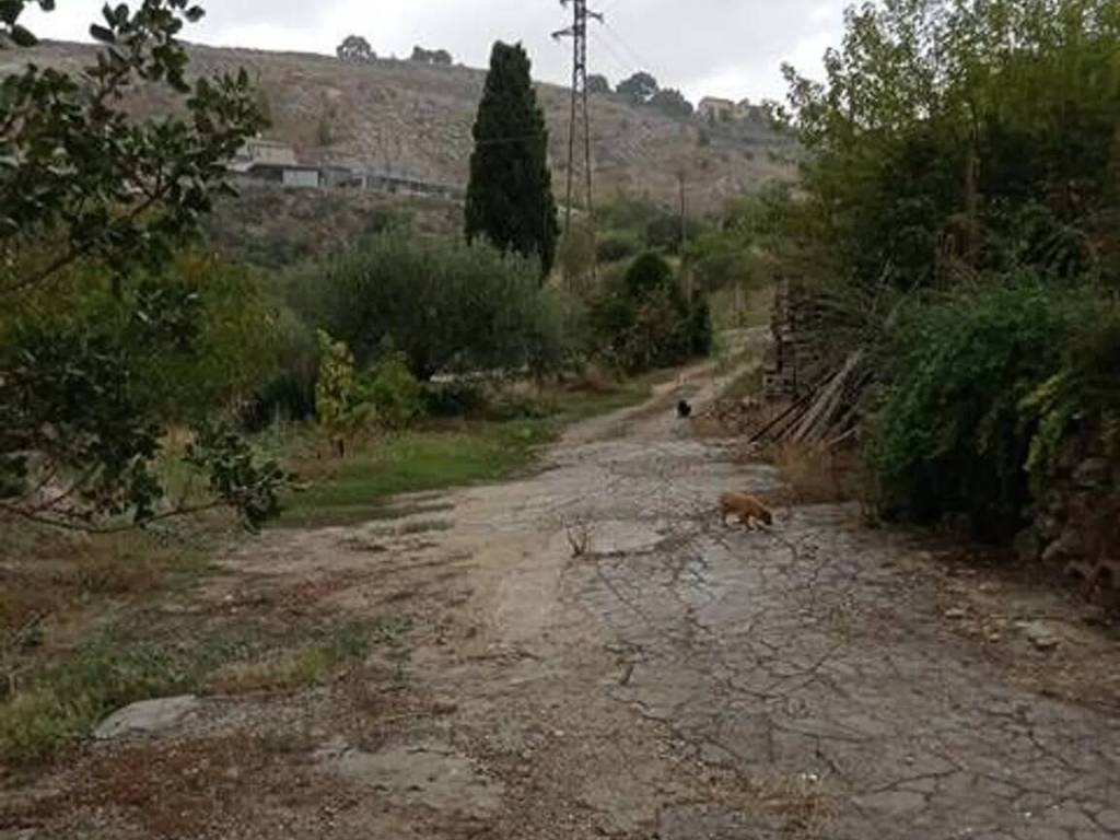 Rustico / casale a San cataldo - Foto 2