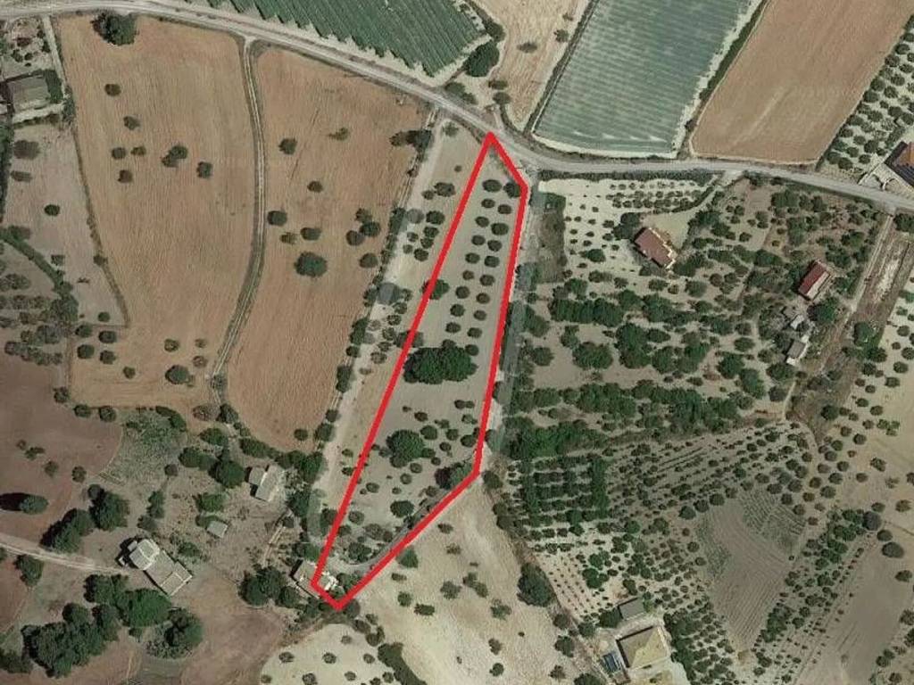 Rustico / casale a San cataldo - Foto 2