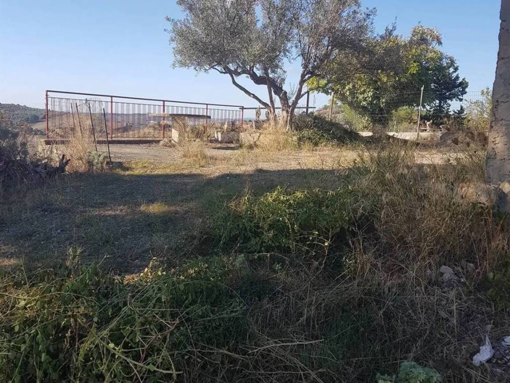 Rustico / casale a San cataldo in Contrada Santa Rosalia S.N.C. - Foto 3