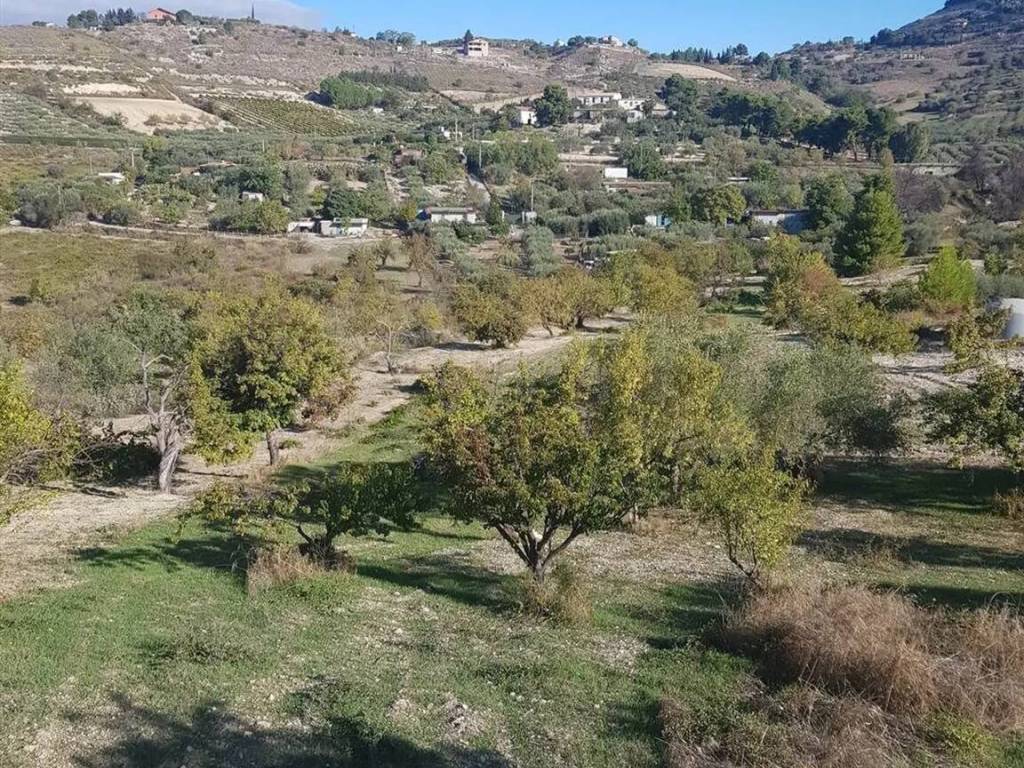 Rustico / casale a San cataldo in Contrada Santa Rosalia S.N.C. - Foto 4