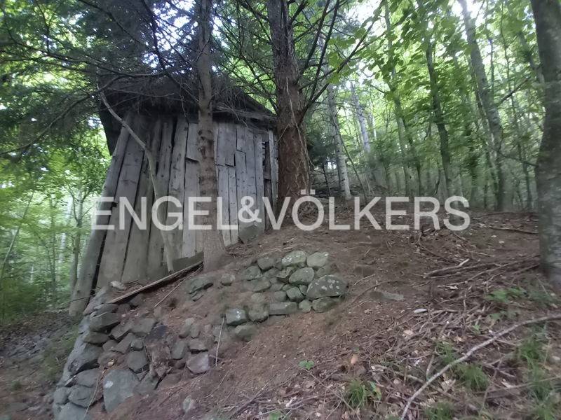Rustico / casale a Sant'orsola terme in Località Pintarei - Foto 2
