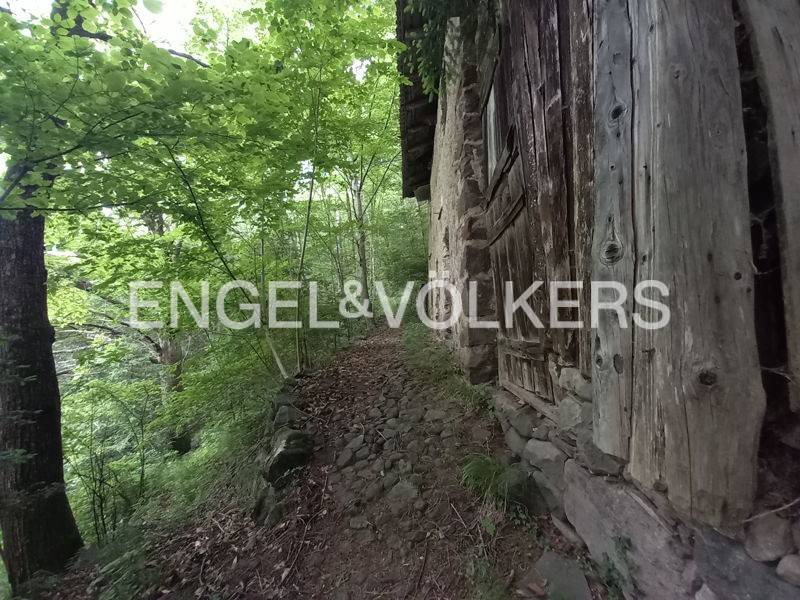Rustico / casale a Sant'orsola terme in Località Pintarei - Foto 4