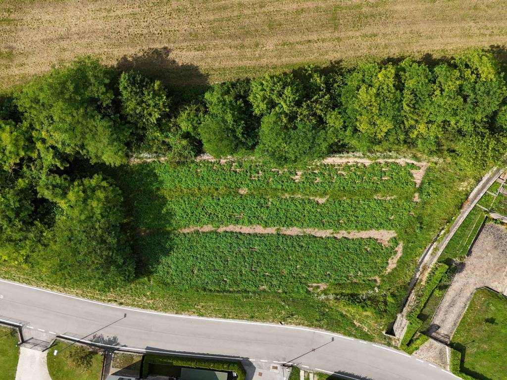 Terreno a Ospedaletto in Strada Provinciale di Ivano e Ospedaletto - Foto 3