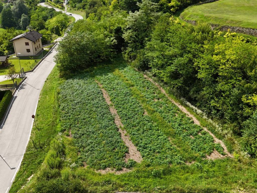 Terreno a Ospedaletto in Strada Provinciale di Ivano e Ospedaletto - Foto 5