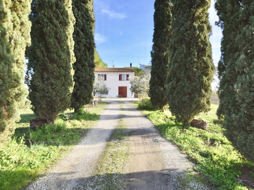 Rustico / casale a Piombino in Località La Sdriscia - Foto 3