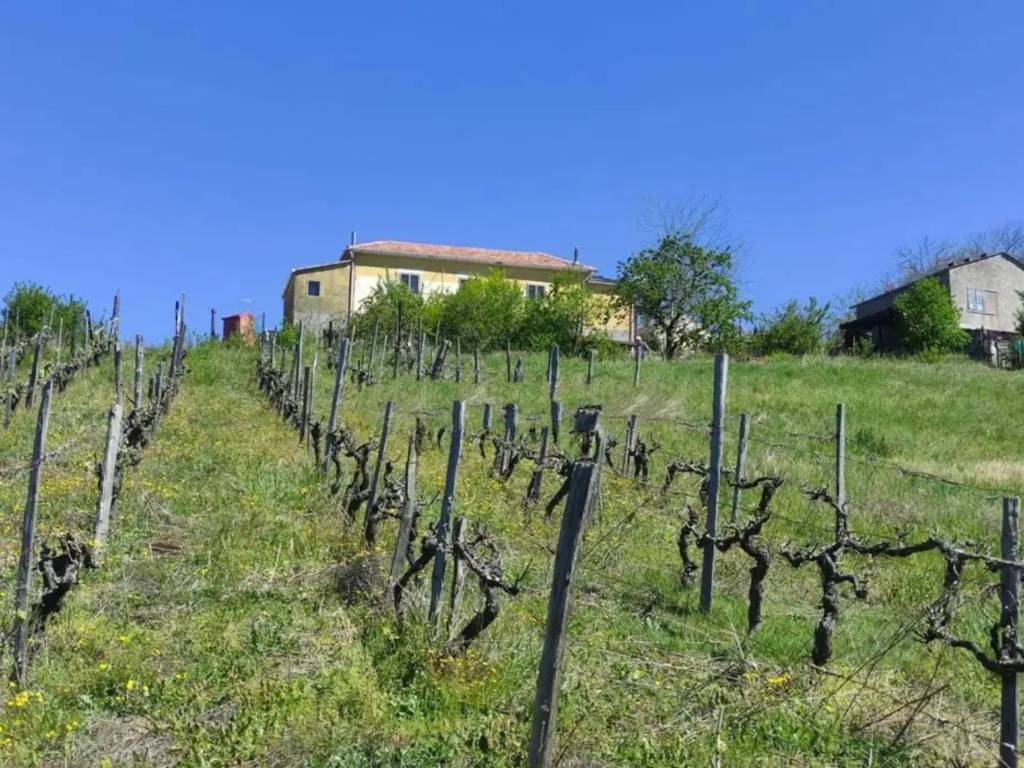 Rustico / casale a Lauria in Contrada Timparossa - Foto 2