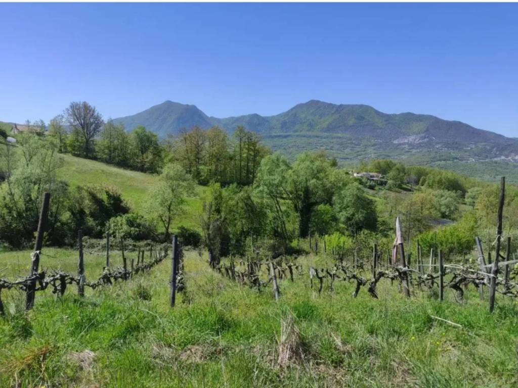 Rustico / casale a Lauria in Contrada Timparossa - Foto 3