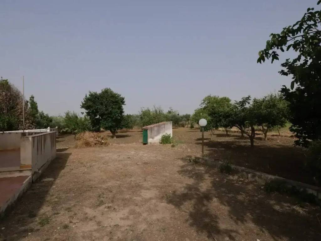 Terreno a Pietraperzia in Strada Vicinale Chiesa Madonna della Cava - Foto 3