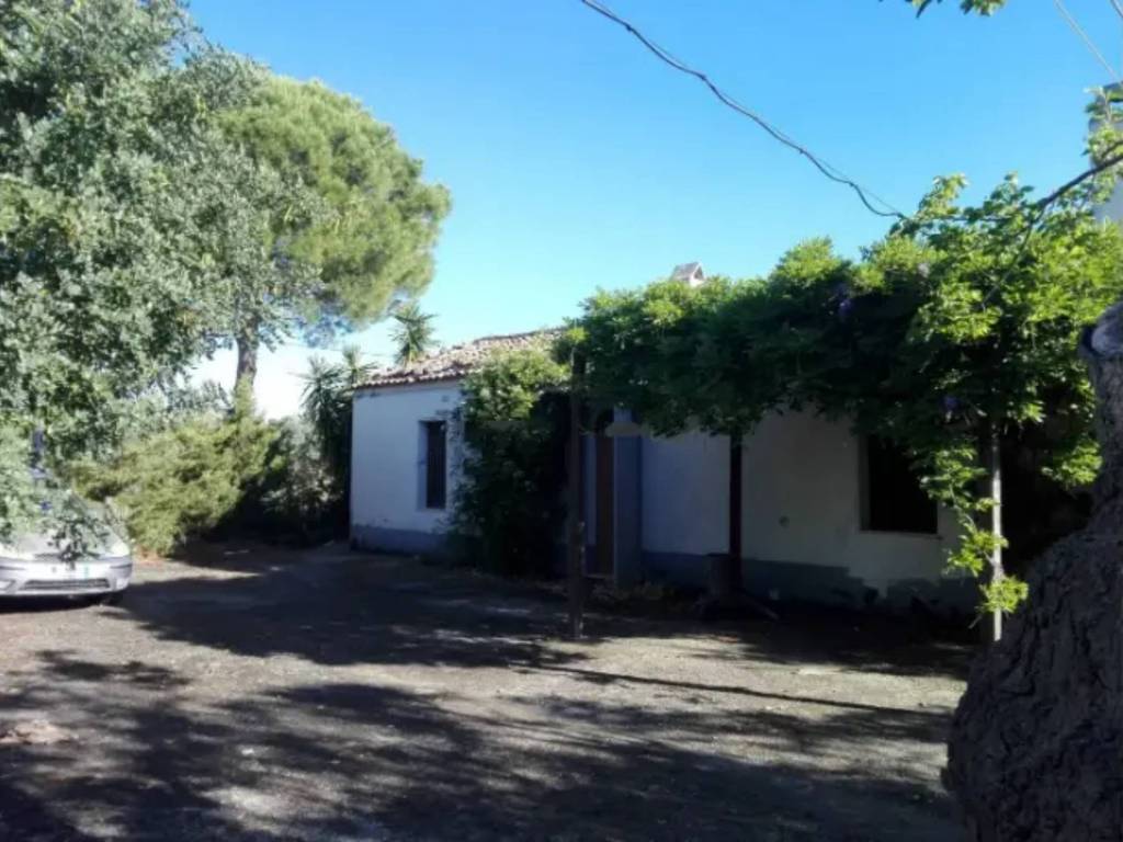 Rustico / casale a Nova siri in Contrada Cardinale - Foto 3