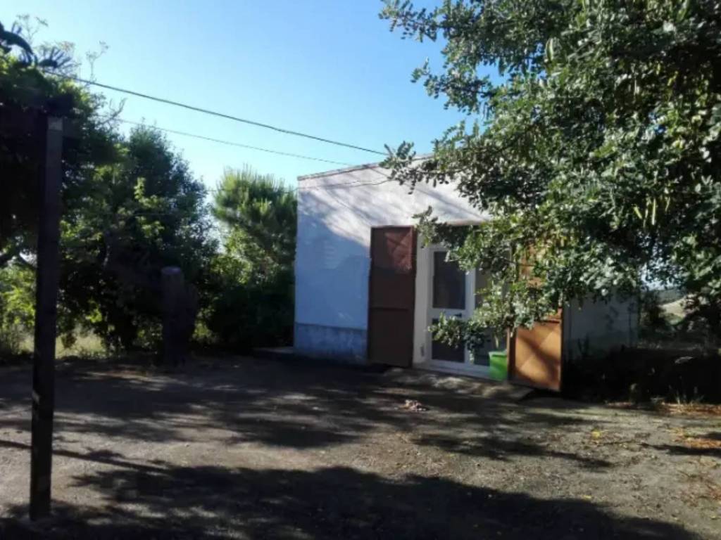 Rustico / casale a Nova siri in Contrada Cardinale - Foto 5