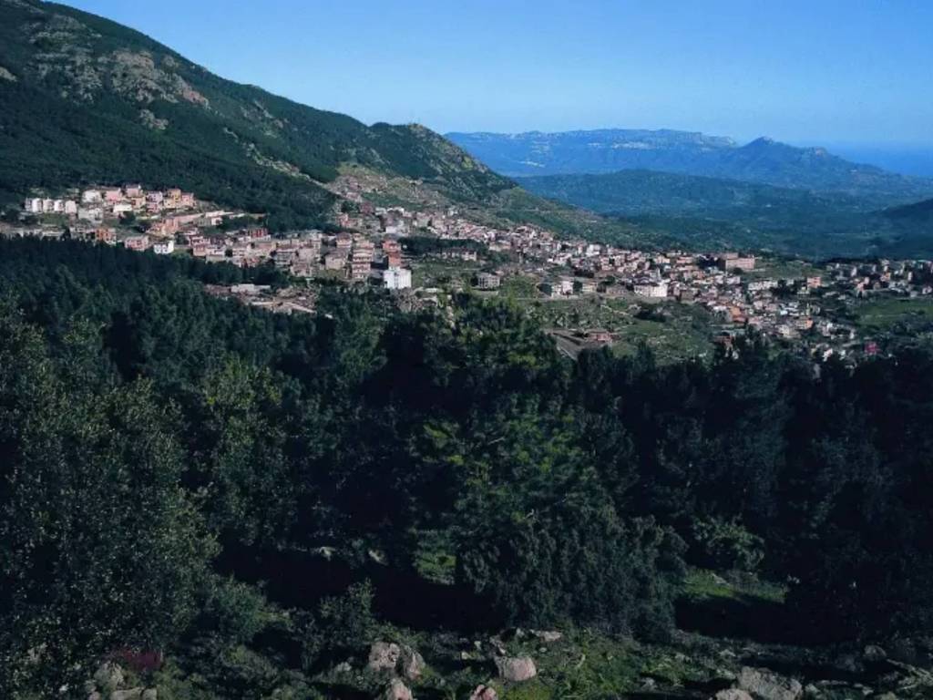 Casa indipendente a Arzana in Via Monsignor Virgilio - Foto 5