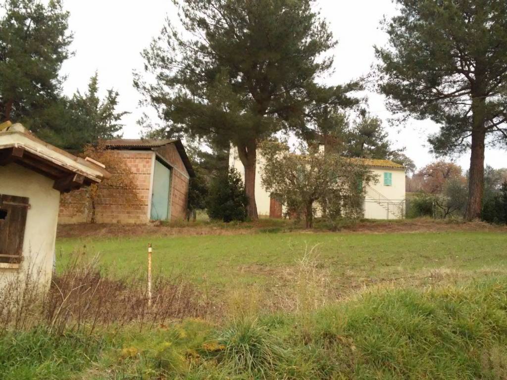 Rustico / casale a Arcevia in Via Guglielmo Marconi - Foto 2