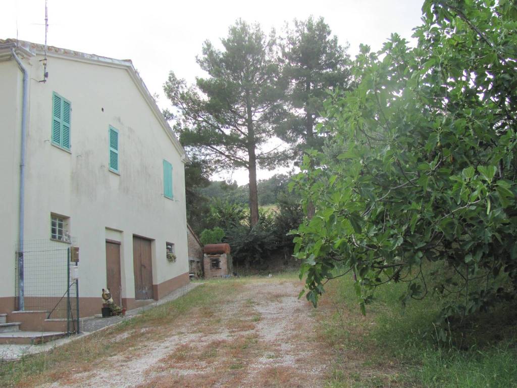 Rustico / casale a Arcevia in Via Guglielmo Marconi - Foto 5