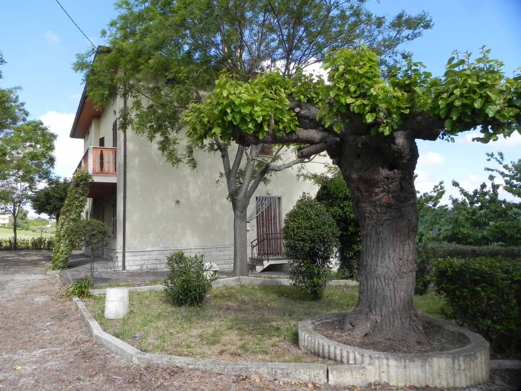 Appartamento a Corinaldo in Via San Bartolo, 44 - Foto 2