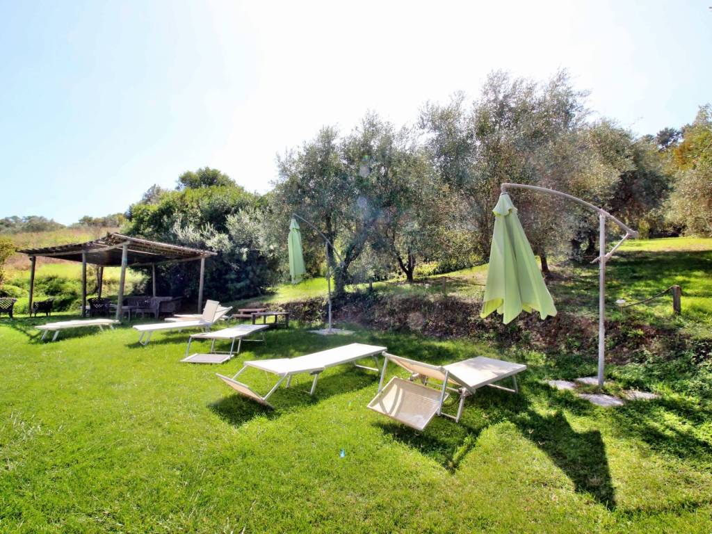 Rustico / casale a Cinigiano - Foto 4