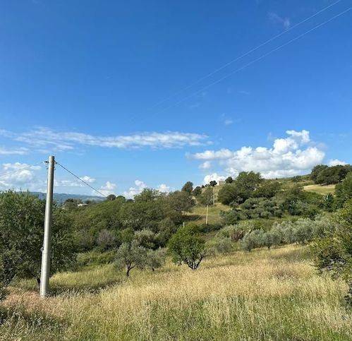 Rustico / casale a Lupara in Contrada Fara - Foto 3