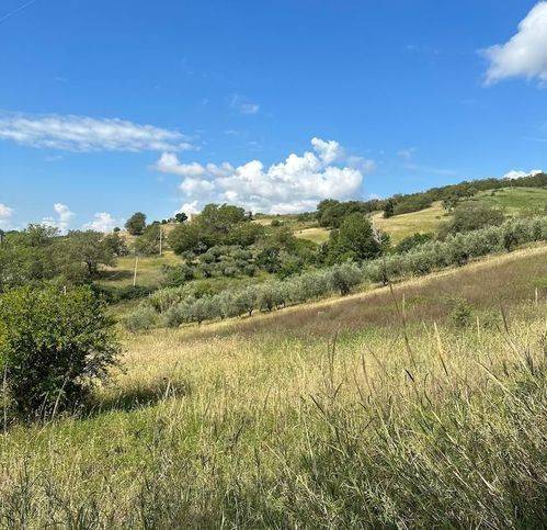 Rustico / casale a Lupara in Contrada Fara - Foto 4