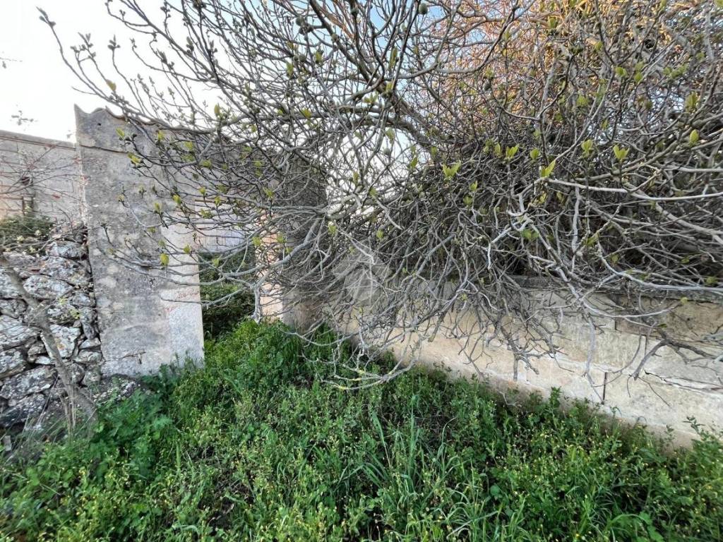 Rustico / casale a Santeramo in colle - Foto 4