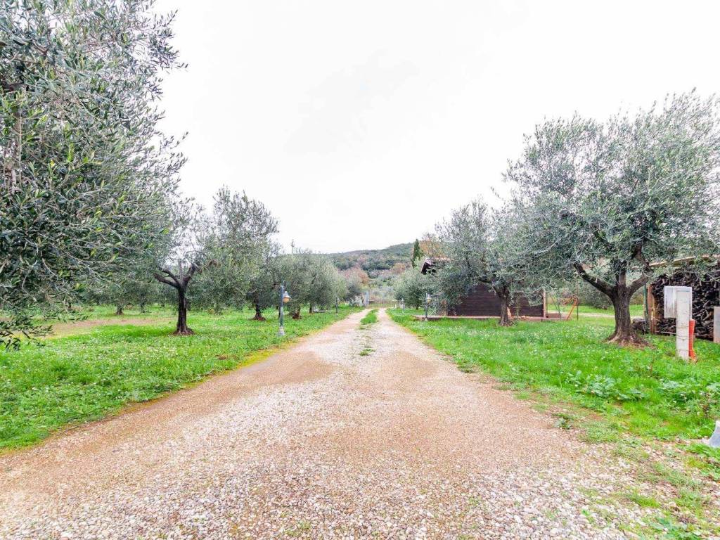 Villa a Massa marittima - Foto 5