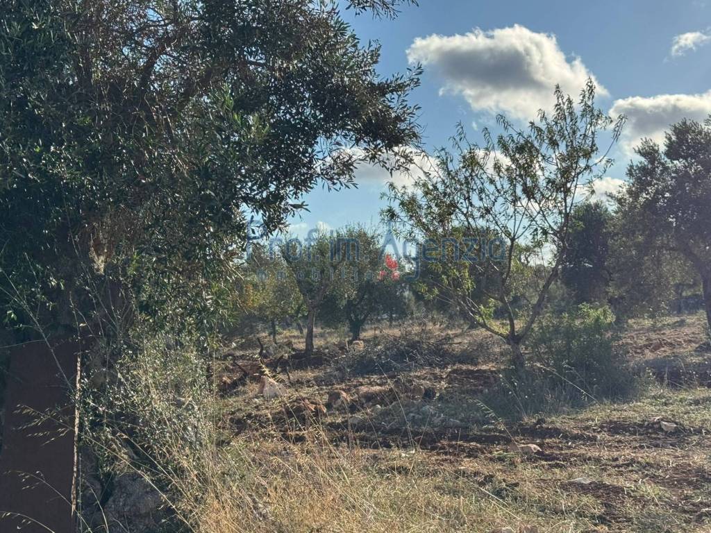 Terreno a Carovigno - Foto 2