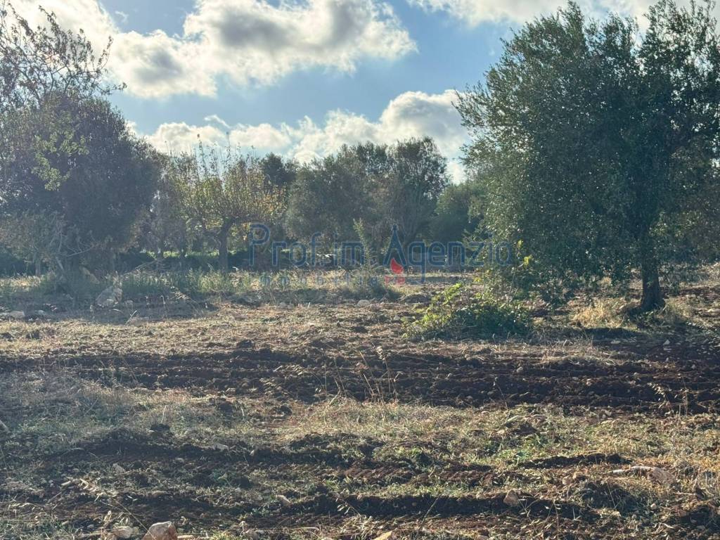 Terreno a Carovigno - Foto 4