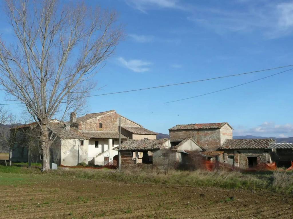 Rustico / casale a Citerna in via ca del coccia - Foto 5