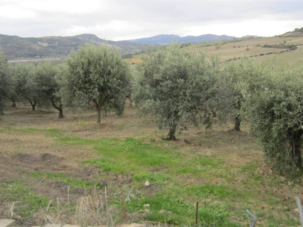 Terreno a Corigliano-rossano in LOC. STRANGE - Foto 2