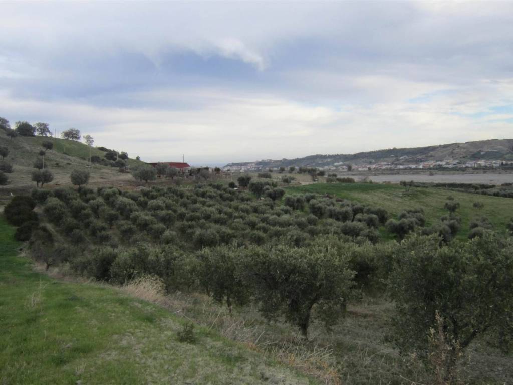 Terreno a Corigliano-rossano in LOC. STRANGE - Foto 3