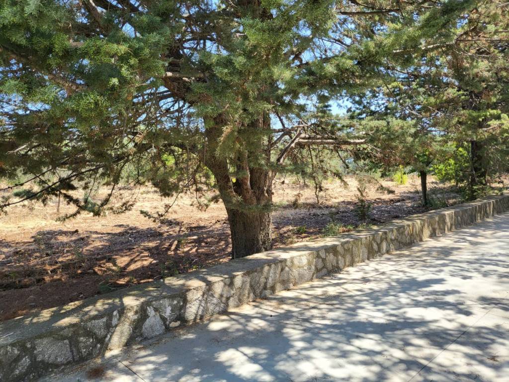 Villa a Andria in Contrada Femmina Morta - Foto 2