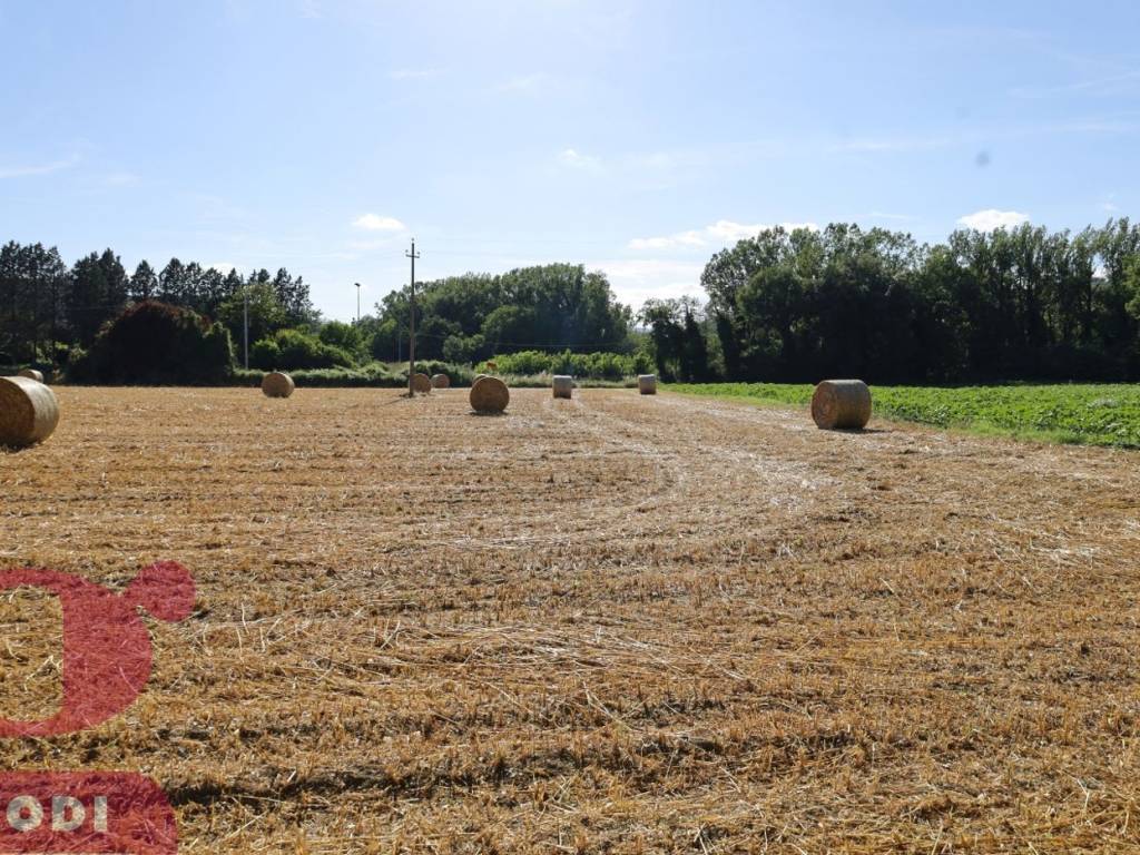 Terreno a Todi in Località Pontenaia, 29 - Foto 2