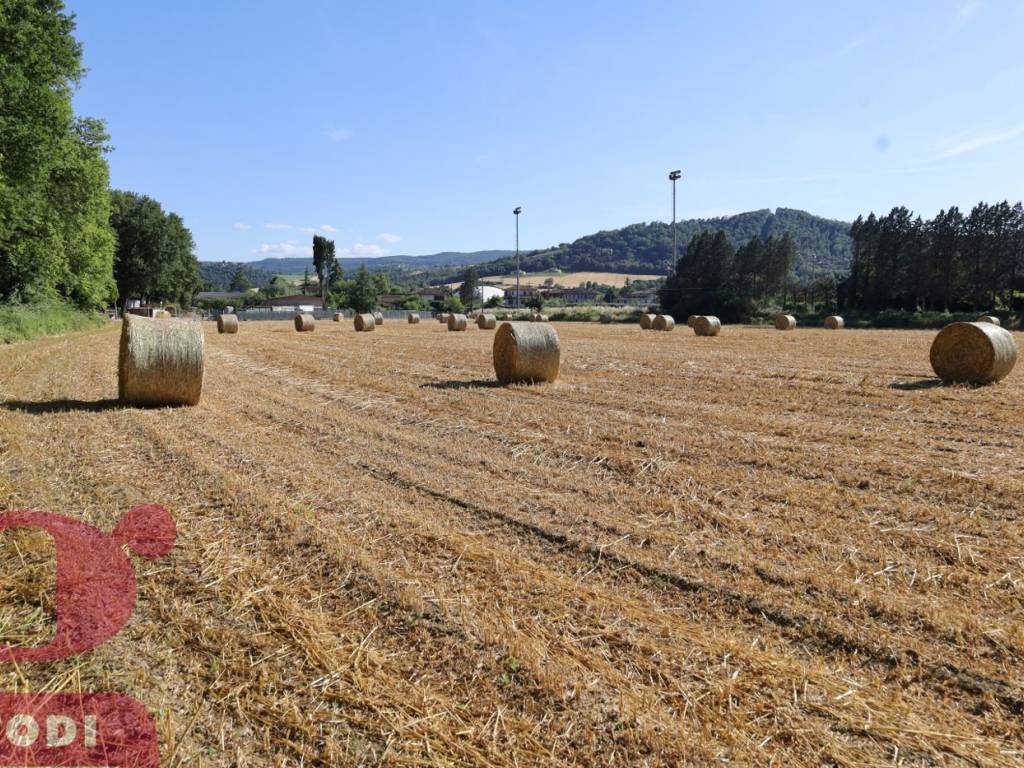 Terreno a Todi in Località Pontenaia, 29 - Foto 3