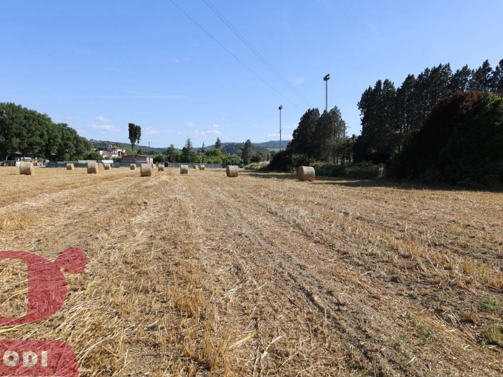 Terreno a Todi in Località Pontenaia, 29 - Foto 4