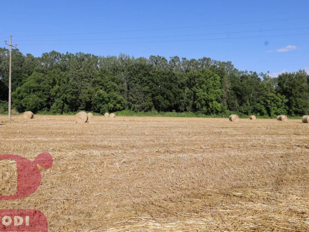 Terreno a Todi in Località Pontenaia, 29 - Foto 5
