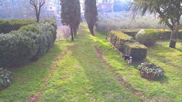 Villa a Sansepolcro in Strada Comunale di San Pietro in Villa - Foto 3