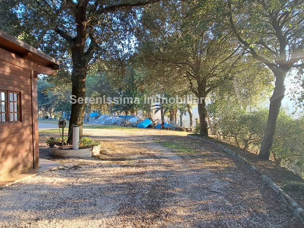 Casa indipendente a Pesaro - Foto 3