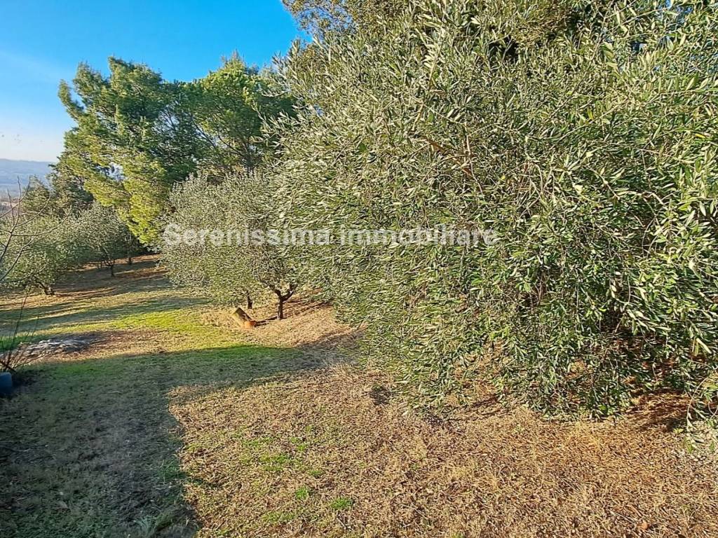 Casa indipendente a Pesaro - Foto 4