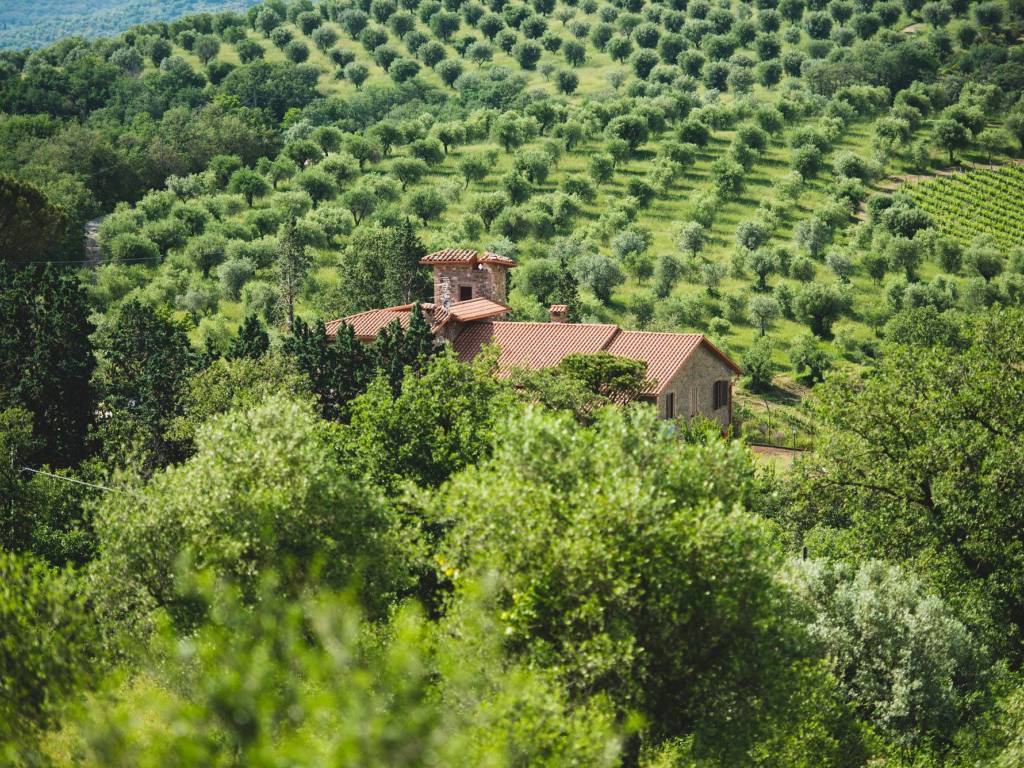 Rustico / casale a Magione in Località Rancio - Foto 2