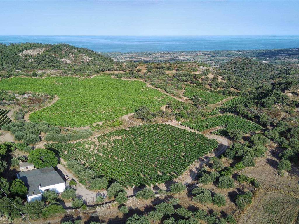 Immobile a Loceri - Foto 3