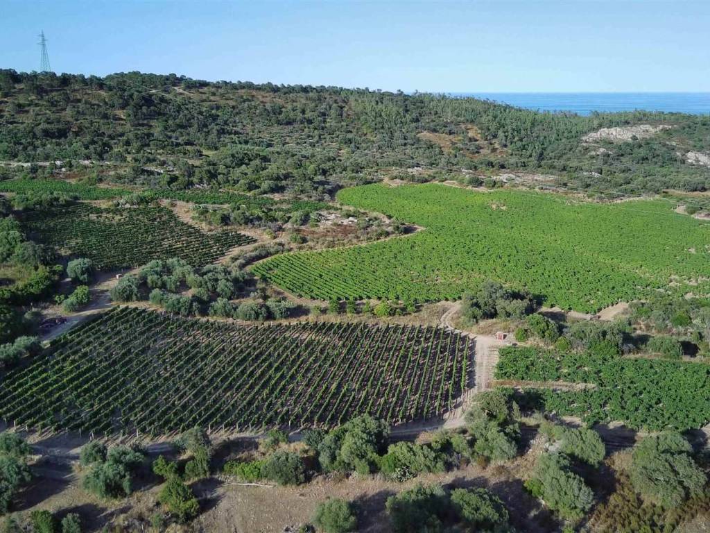 Immobile a Loceri - Foto 5