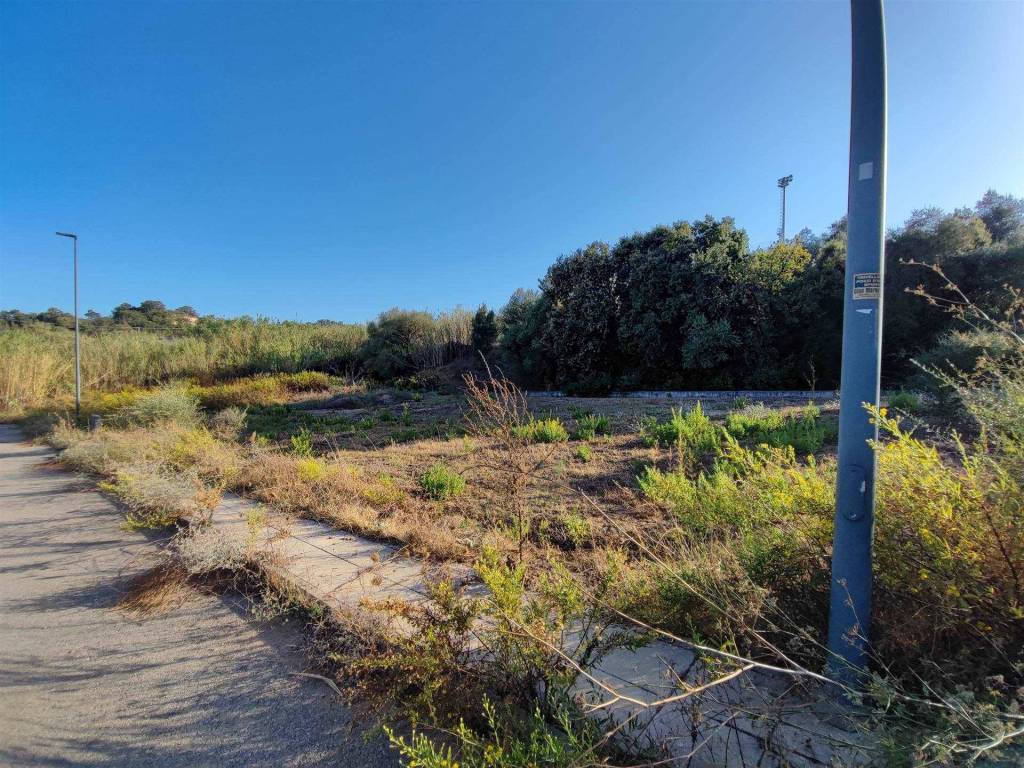 Terreno a Loceri - Foto 4