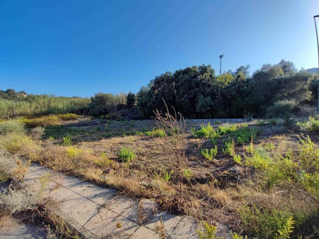 Terreno a Loceri - Foto 4